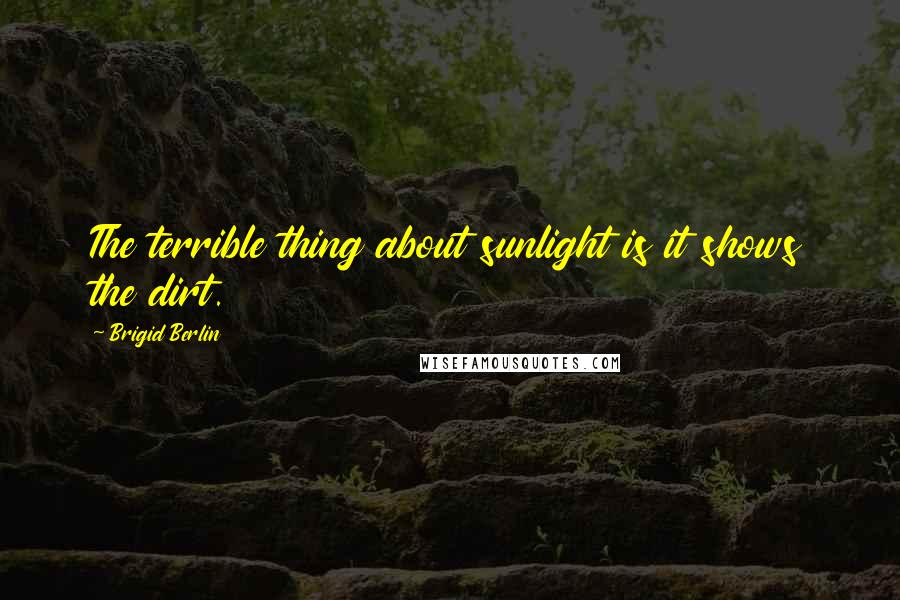 Brigid Berlin Quotes: The terrible thing about sunlight is it shows the dirt.