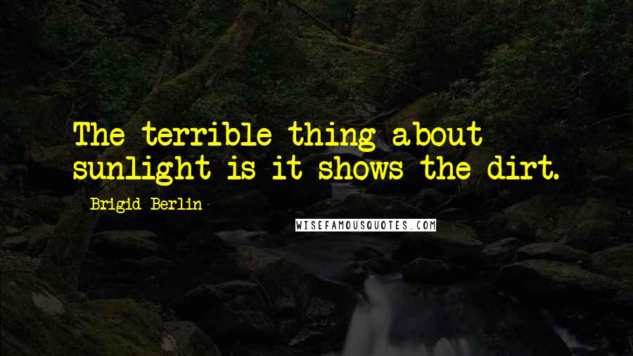 Brigid Berlin Quotes: The terrible thing about sunlight is it shows the dirt.