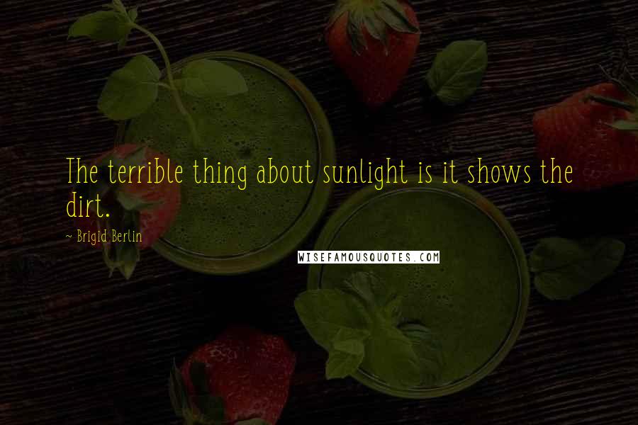 Brigid Berlin Quotes: The terrible thing about sunlight is it shows the dirt.