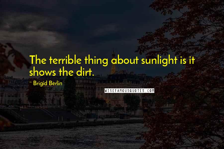 Brigid Berlin Quotes: The terrible thing about sunlight is it shows the dirt.