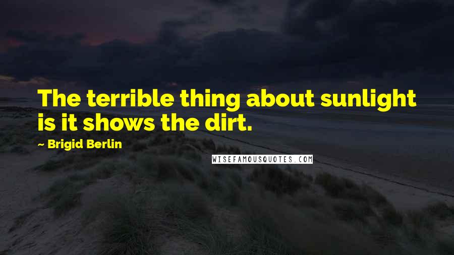 Brigid Berlin Quotes: The terrible thing about sunlight is it shows the dirt.