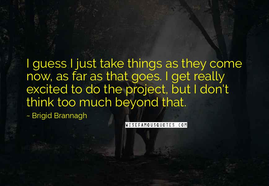 Brigid Brannagh Quotes: I guess I just take things as they come now, as far as that goes. I get really excited to do the project, but I don't think too much beyond that.