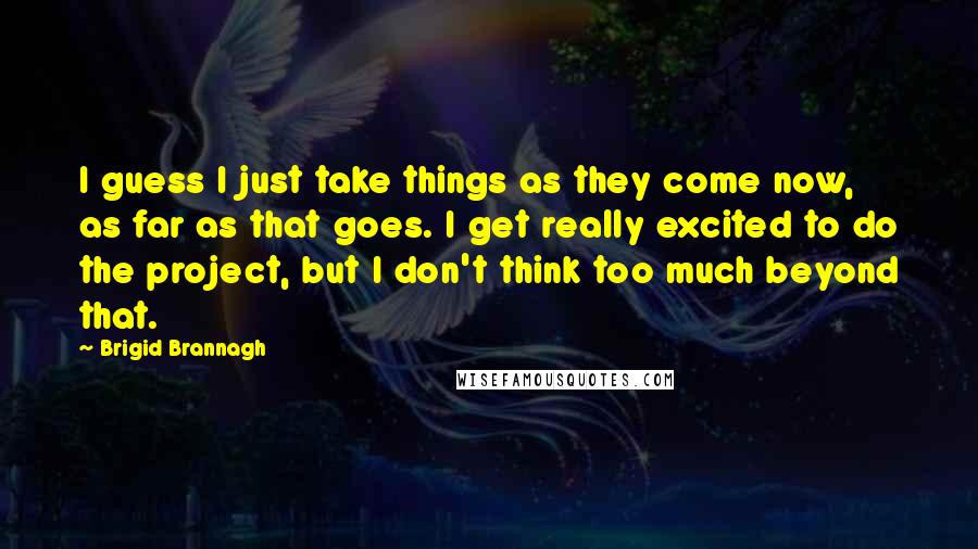 Brigid Brannagh Quotes: I guess I just take things as they come now, as far as that goes. I get really excited to do the project, but I don't think too much beyond that.