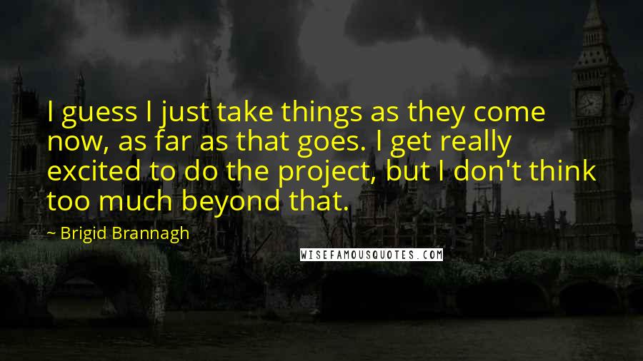 Brigid Brannagh Quotes: I guess I just take things as they come now, as far as that goes. I get really excited to do the project, but I don't think too much beyond that.