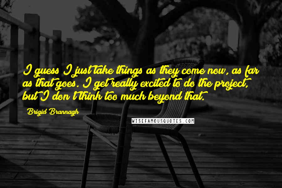 Brigid Brannagh Quotes: I guess I just take things as they come now, as far as that goes. I get really excited to do the project, but I don't think too much beyond that.