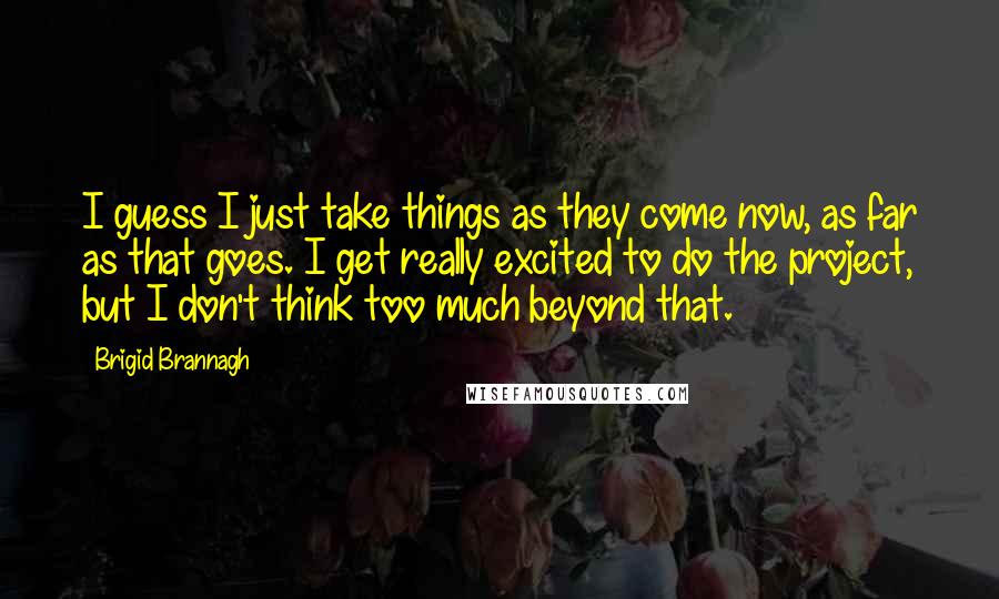 Brigid Brannagh Quotes: I guess I just take things as they come now, as far as that goes. I get really excited to do the project, but I don't think too much beyond that.