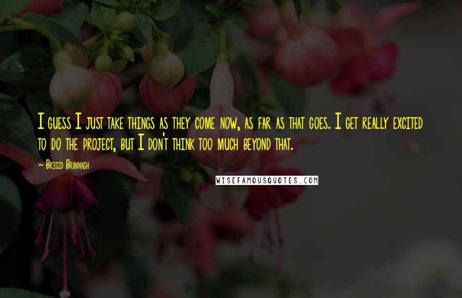 Brigid Brannagh Quotes: I guess I just take things as they come now, as far as that goes. I get really excited to do the project, but I don't think too much beyond that.