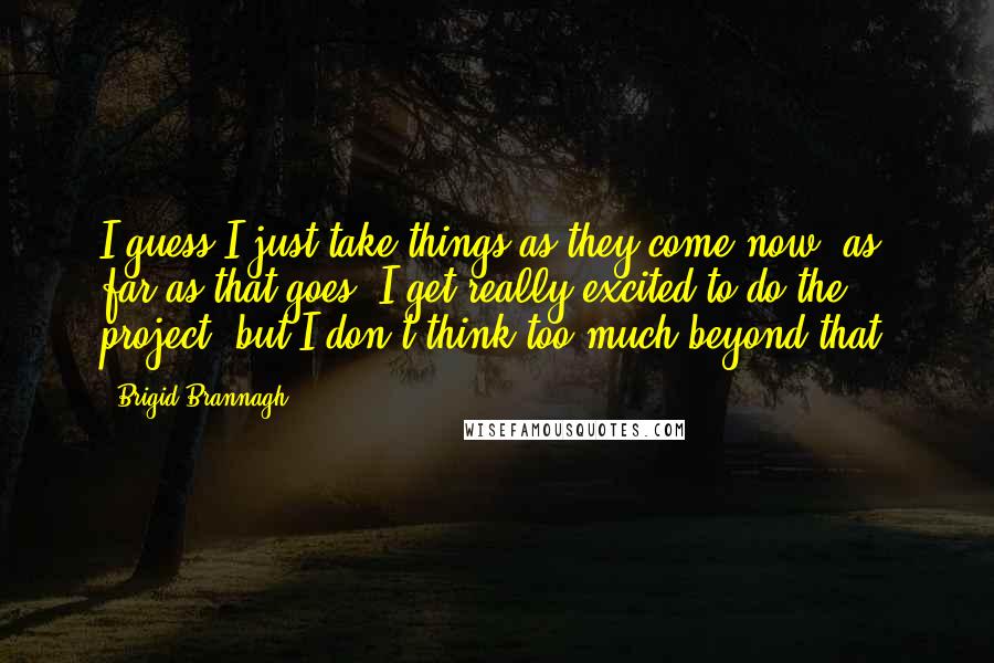 Brigid Brannagh Quotes: I guess I just take things as they come now, as far as that goes. I get really excited to do the project, but I don't think too much beyond that.