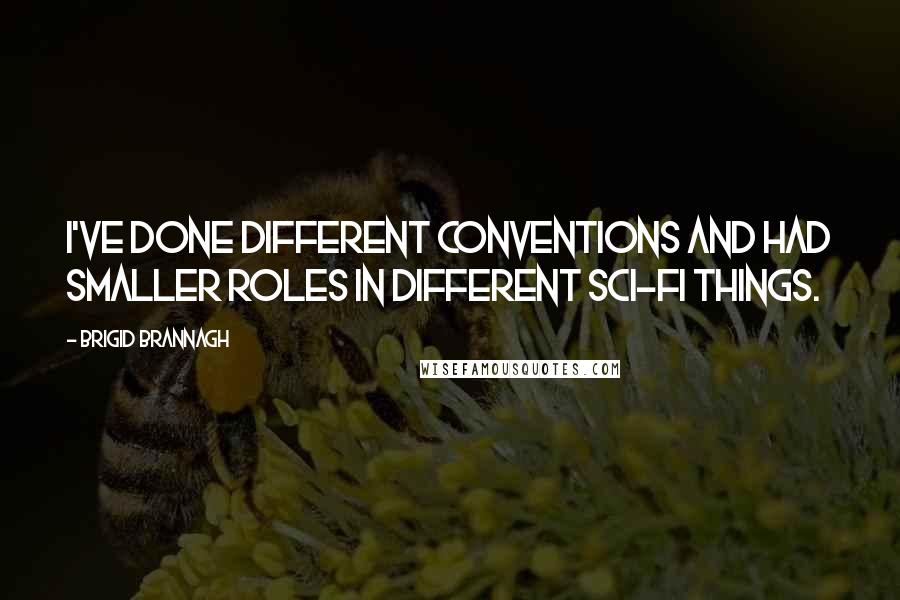 Brigid Brannagh Quotes: I've done different conventions and had smaller roles in different sci-fi things.