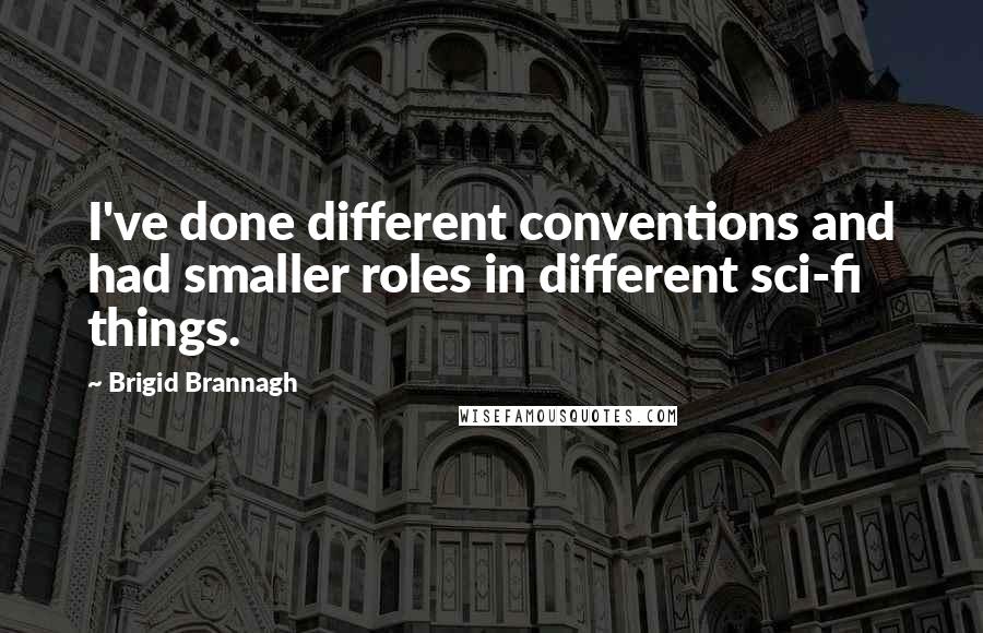 Brigid Brannagh Quotes: I've done different conventions and had smaller roles in different sci-fi things.