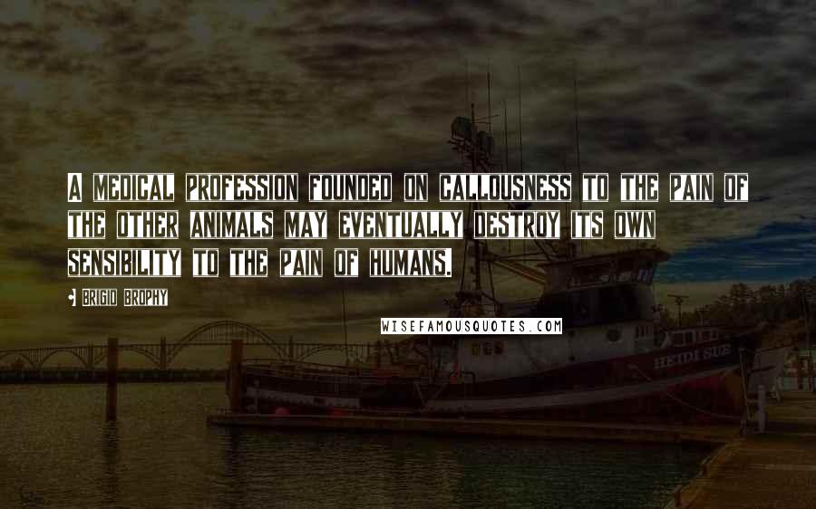 Brigid Brophy Quotes: A medical profession founded on callousness to the pain of the other animals may eventually destroy its own sensibility to the pain of humans.