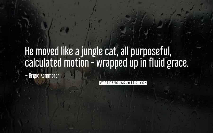 Brigid Kemmerer Quotes: He moved like a jungle cat, all purposeful, calculated motion - wrapped up in fluid grace.