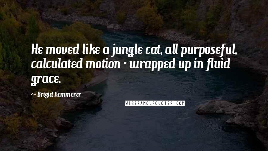 Brigid Kemmerer Quotes: He moved like a jungle cat, all purposeful, calculated motion - wrapped up in fluid grace.