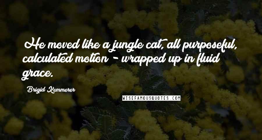 Brigid Kemmerer Quotes: He moved like a jungle cat, all purposeful, calculated motion - wrapped up in fluid grace.