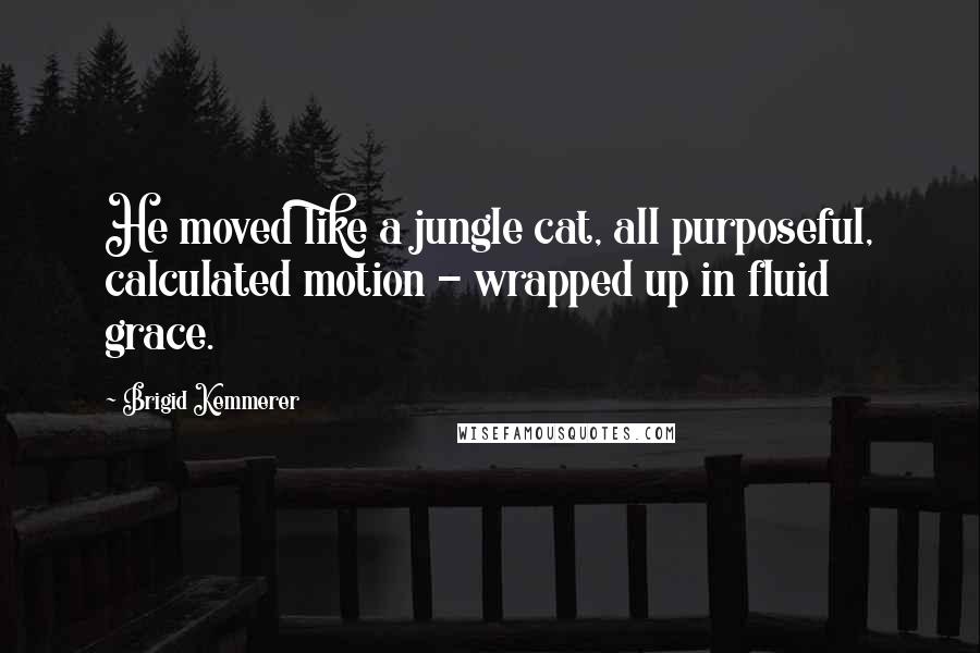 Brigid Kemmerer Quotes: He moved like a jungle cat, all purposeful, calculated motion - wrapped up in fluid grace.