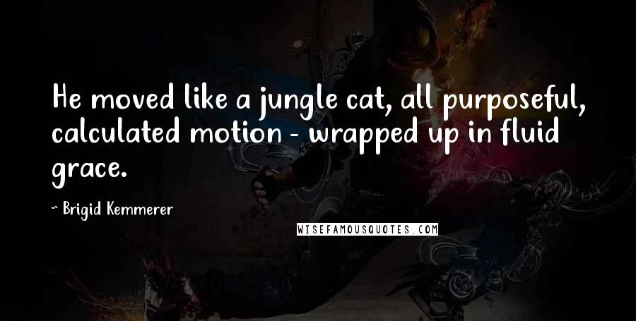 Brigid Kemmerer Quotes: He moved like a jungle cat, all purposeful, calculated motion - wrapped up in fluid grace.