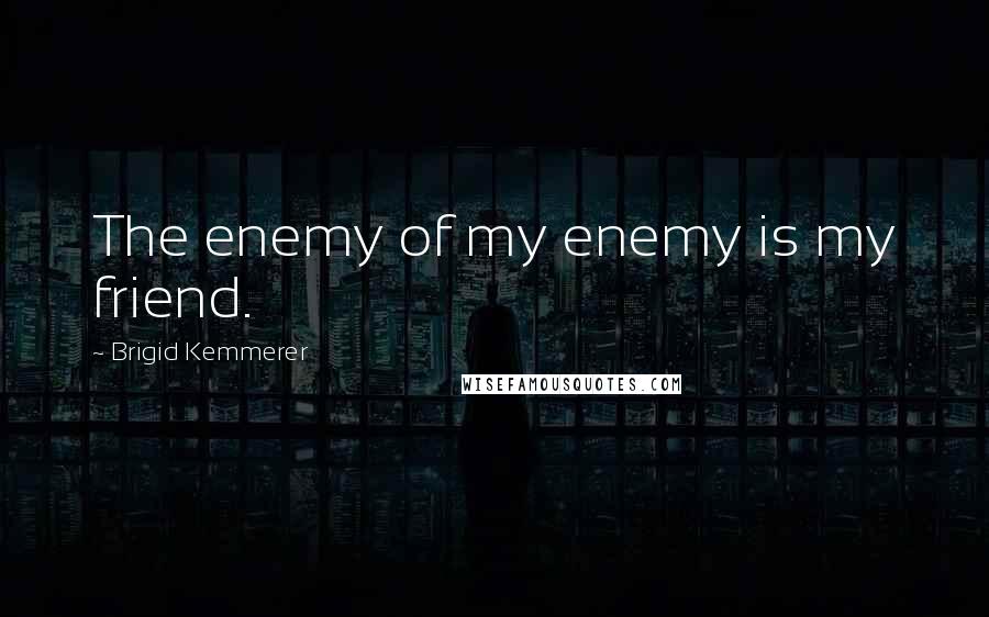 Brigid Kemmerer Quotes: The enemy of my enemy is my friend.