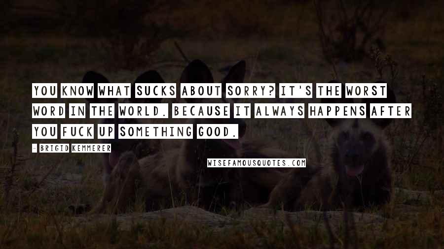 Brigid Kemmerer Quotes: You know what sucks about sorry? It's the worst word in the world. Because it always happens after you fuck up something good.