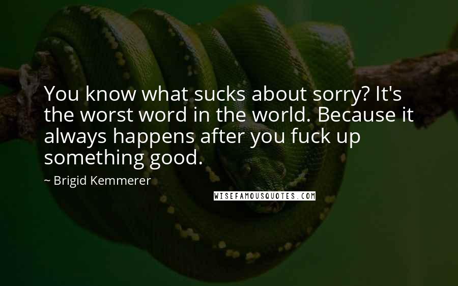 Brigid Kemmerer Quotes: You know what sucks about sorry? It's the worst word in the world. Because it always happens after you fuck up something good.