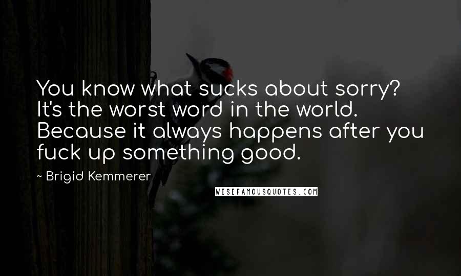 Brigid Kemmerer Quotes: You know what sucks about sorry? It's the worst word in the world. Because it always happens after you fuck up something good.