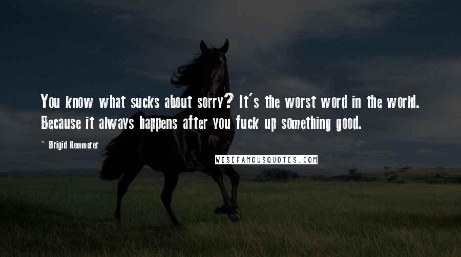 Brigid Kemmerer Quotes: You know what sucks about sorry? It's the worst word in the world. Because it always happens after you fuck up something good.