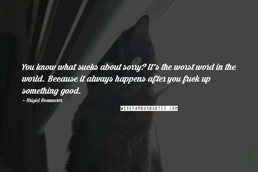 Brigid Kemmerer Quotes: You know what sucks about sorry? It's the worst word in the world. Because it always happens after you fuck up something good.