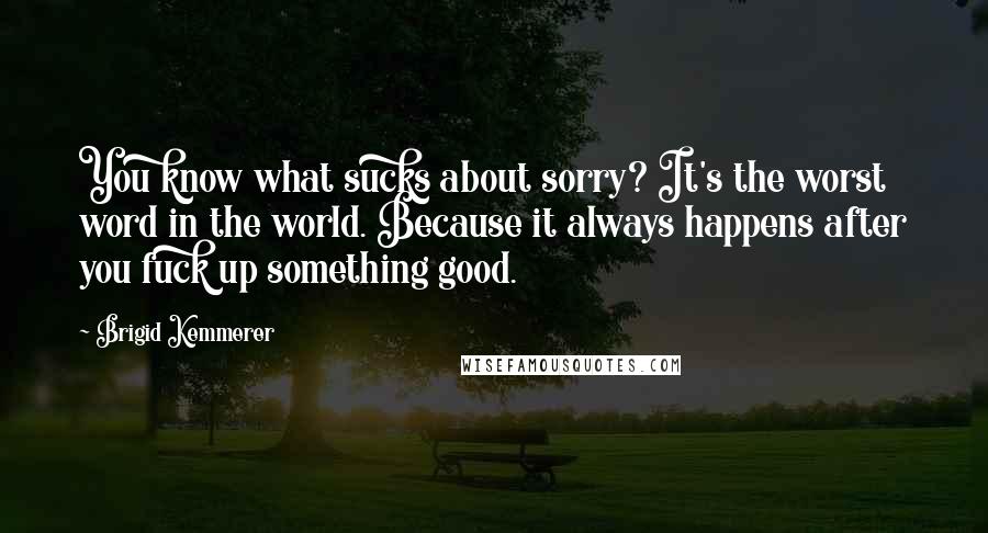 Brigid Kemmerer Quotes: You know what sucks about sorry? It's the worst word in the world. Because it always happens after you fuck up something good.
