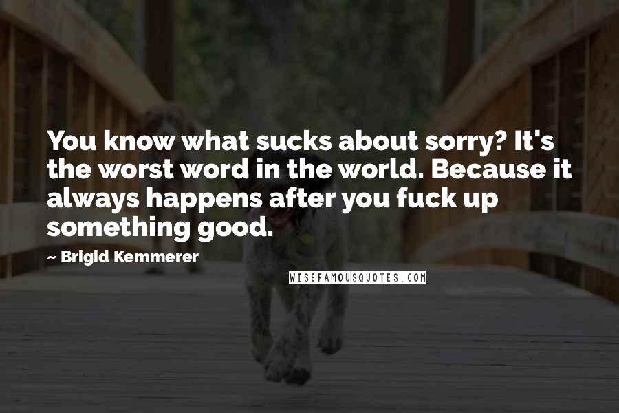 Brigid Kemmerer Quotes: You know what sucks about sorry? It's the worst word in the world. Because it always happens after you fuck up something good.