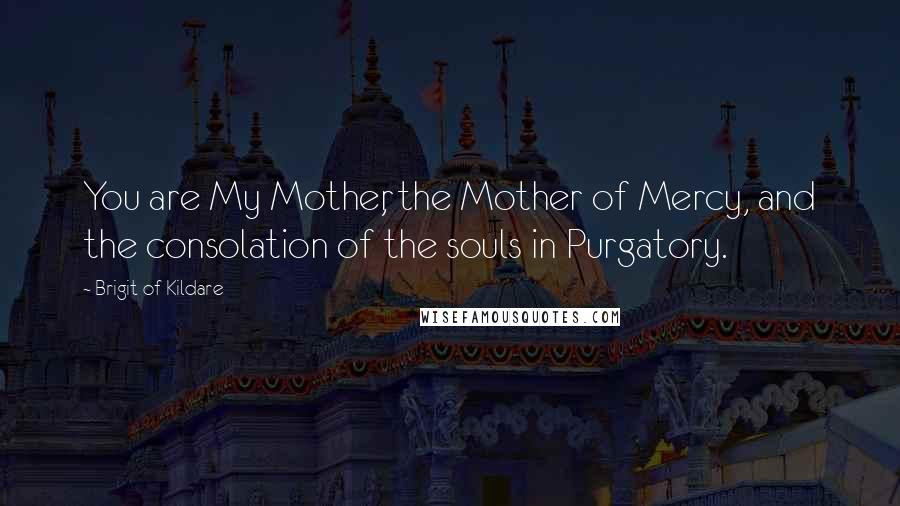 Brigit Of Kildare Quotes: You are My Mother, the Mother of Mercy, and the consolation of the souls in Purgatory.