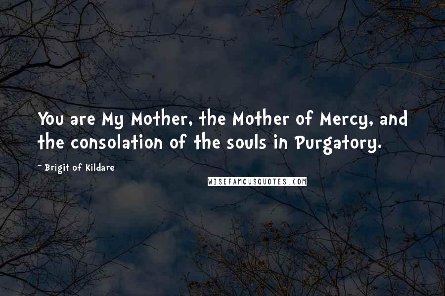 Brigit Of Kildare Quotes: You are My Mother, the Mother of Mercy, and the consolation of the souls in Purgatory.