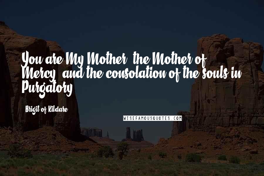 Brigit Of Kildare Quotes: You are My Mother, the Mother of Mercy, and the consolation of the souls in Purgatory.