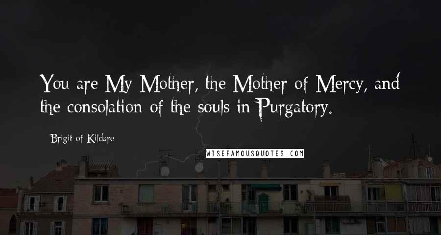 Brigit Of Kildare Quotes: You are My Mother, the Mother of Mercy, and the consolation of the souls in Purgatory.