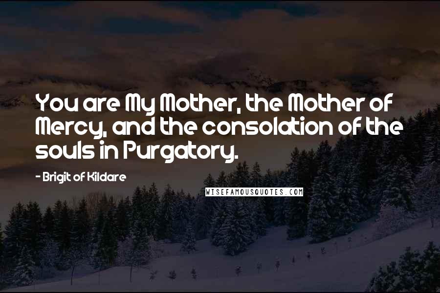 Brigit Of Kildare Quotes: You are My Mother, the Mother of Mercy, and the consolation of the souls in Purgatory.