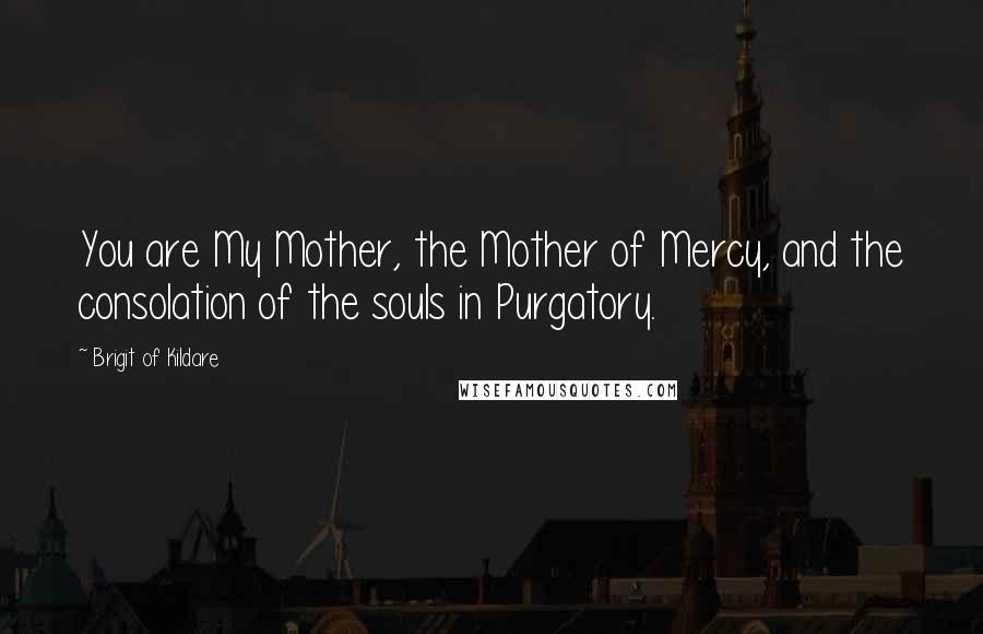 Brigit Of Kildare Quotes: You are My Mother, the Mother of Mercy, and the consolation of the souls in Purgatory.