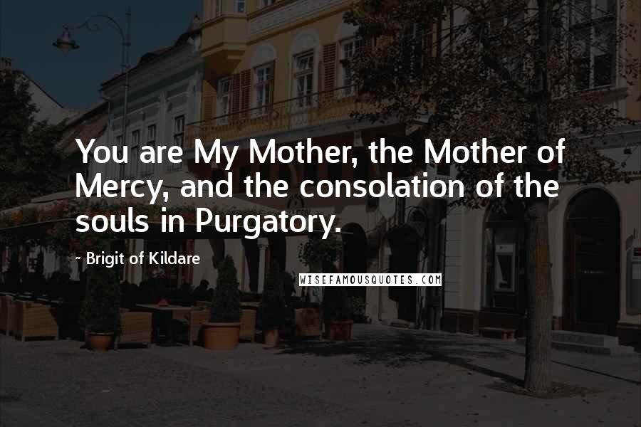 Brigit Of Kildare Quotes: You are My Mother, the Mother of Mercy, and the consolation of the souls in Purgatory.