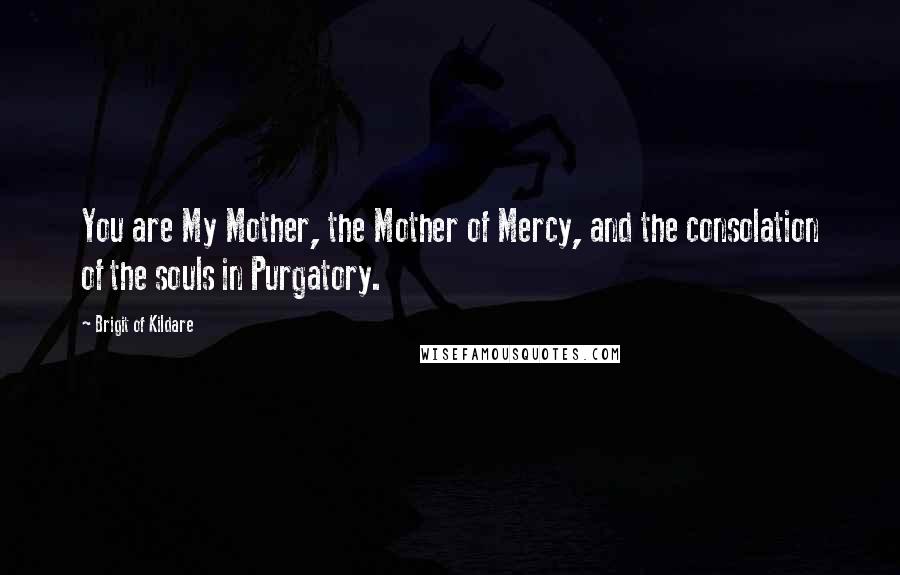 Brigit Of Kildare Quotes: You are My Mother, the Mother of Mercy, and the consolation of the souls in Purgatory.