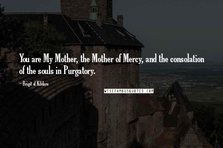 Brigit Of Kildare Quotes: You are My Mother, the Mother of Mercy, and the consolation of the souls in Purgatory.