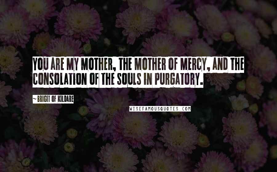 Brigit Of Kildare Quotes: You are My Mother, the Mother of Mercy, and the consolation of the souls in Purgatory.