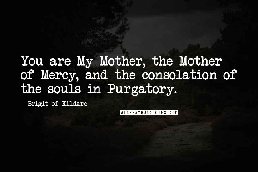 Brigit Of Kildare Quotes: You are My Mother, the Mother of Mercy, and the consolation of the souls in Purgatory.