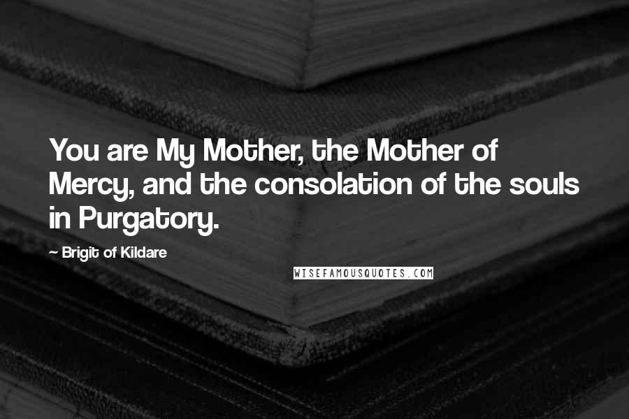 Brigit Of Kildare Quotes: You are My Mother, the Mother of Mercy, and the consolation of the souls in Purgatory.