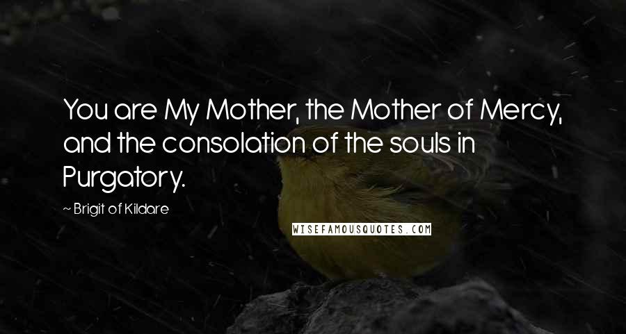 Brigit Of Kildare Quotes: You are My Mother, the Mother of Mercy, and the consolation of the souls in Purgatory.