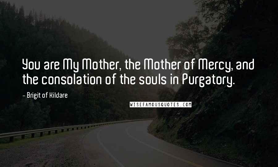 Brigit Of Kildare Quotes: You are My Mother, the Mother of Mercy, and the consolation of the souls in Purgatory.