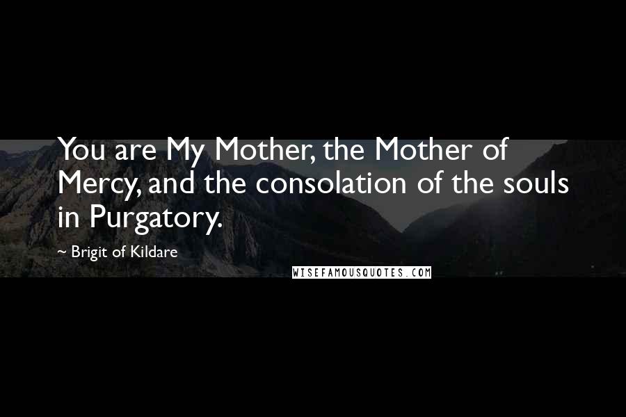 Brigit Of Kildare Quotes: You are My Mother, the Mother of Mercy, and the consolation of the souls in Purgatory.
