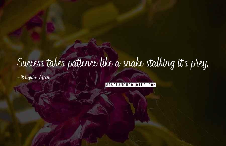 Brigitta Moon Quotes: Success takes patience like a snake stalking it's prey.
