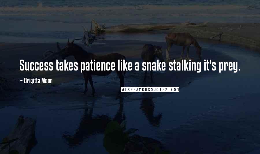 Brigitta Moon Quotes: Success takes patience like a snake stalking it's prey.