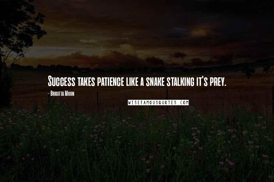 Brigitta Moon Quotes: Success takes patience like a snake stalking it's prey.