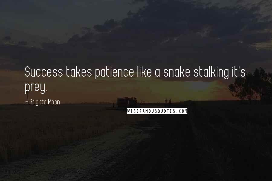 Brigitta Moon Quotes: Success takes patience like a snake stalking it's prey.