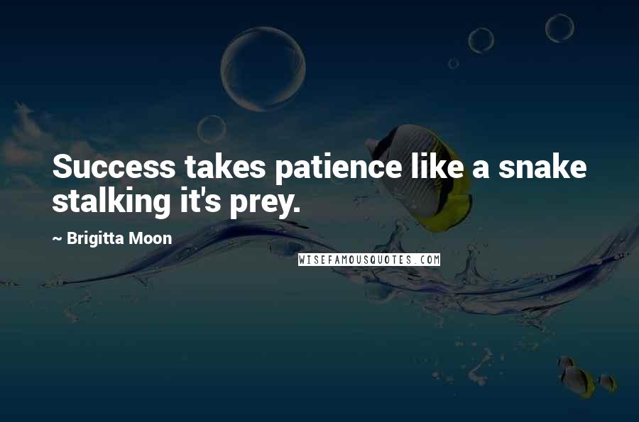 Brigitta Moon Quotes: Success takes patience like a snake stalking it's prey.