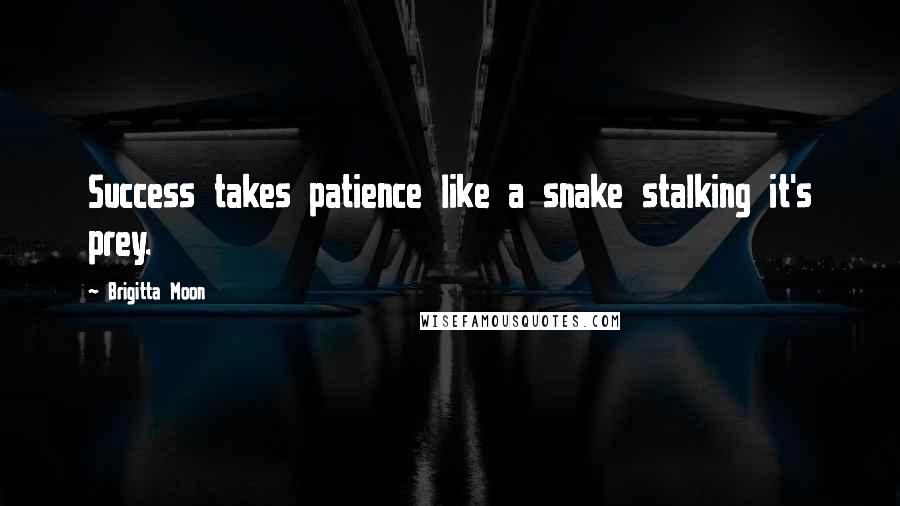 Brigitta Moon Quotes: Success takes patience like a snake stalking it's prey.