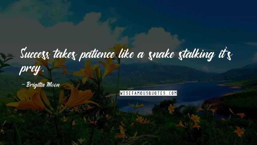 Brigitta Moon Quotes: Success takes patience like a snake stalking it's prey.